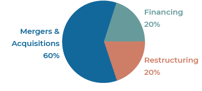 Mergers & Acquisitions 60%, Financing 20%, Restructuring 20%